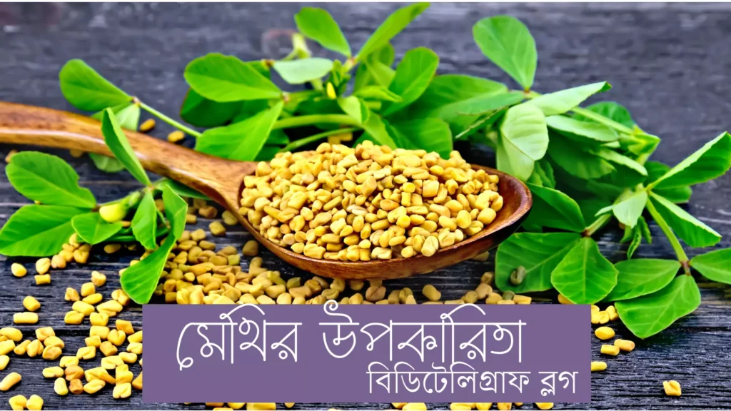 মানবদেহে মেথির উপকারিতা এবং অপকারিতা (খাওয়ার নিয়মসহ) মেথির উপকারিতা