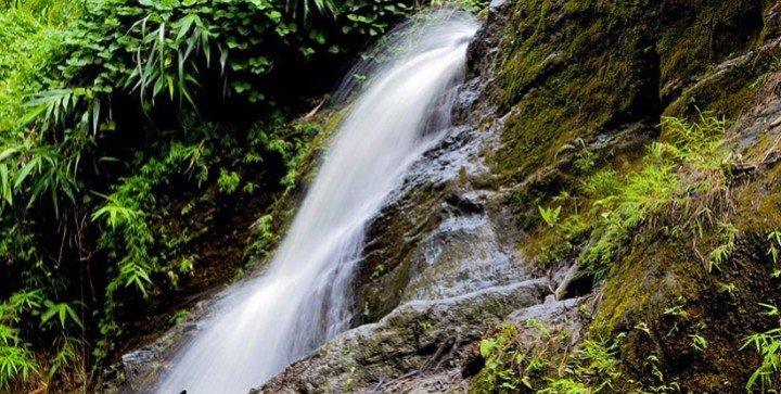 হিমছড়ি: অপার প্রকৃতির স্বরূপ