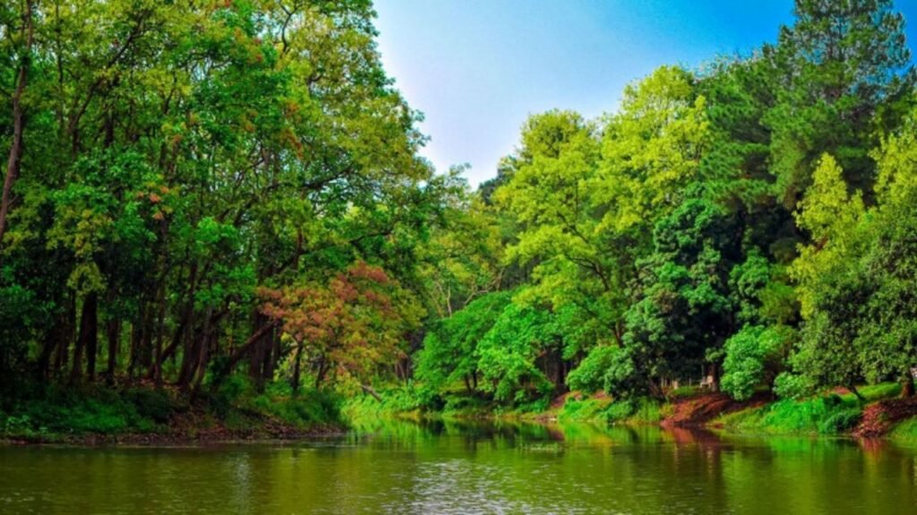 ভাওয়াল জাতীয় উদ্যান